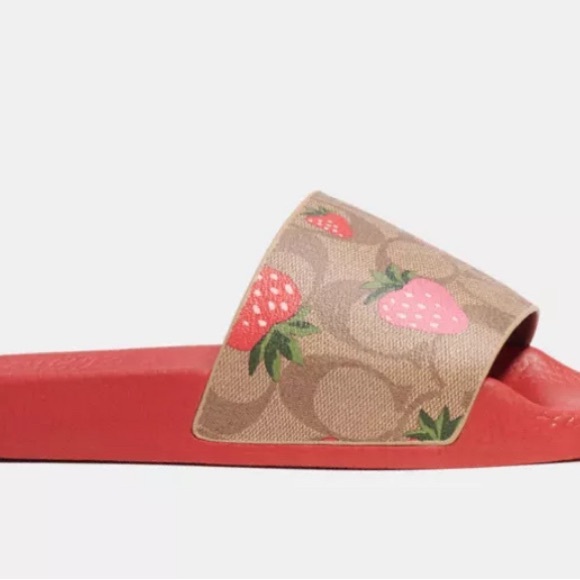 Coach Woman’s Strawberry Slides.  Size 8.  Great condition. - Picture 5 of 5